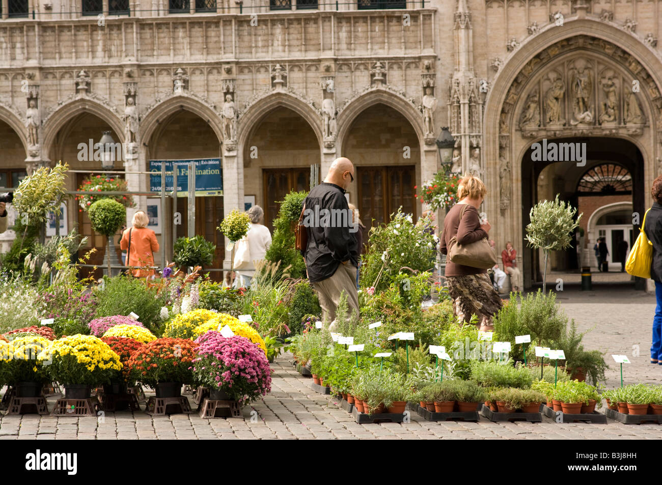 Fleurs et plantes en vente à la Grand Place Bruxelles, Belgique Banque D'Images