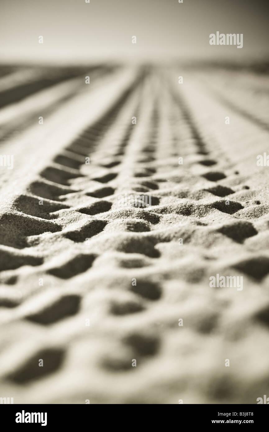 Close up de traces de pneu dans le sable. La bande de roulement des pneus de marques. Banque D'Images