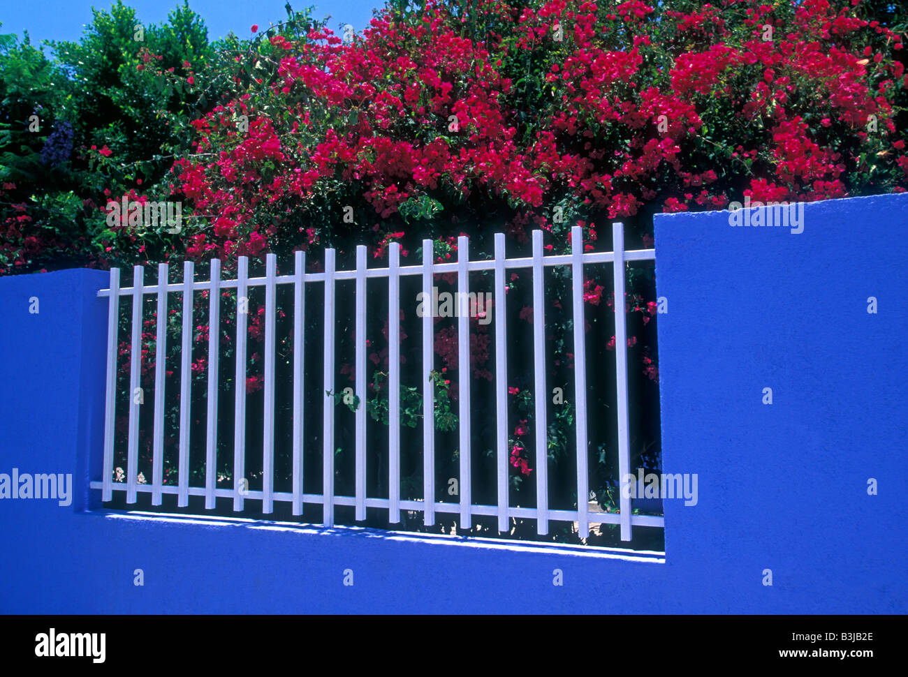 Mur bleu, colorés, clôture blanche, fleurs rouges, village de San Martin Tilcajete, San Martin Tilcajete, État de Oaxaca, Mexique, Amérique du Nord Banque D'Images