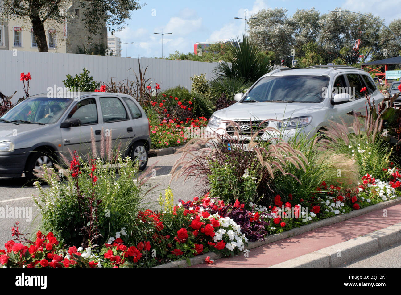 Les plantations d'agrément MUNICIPAL À CHERBOURG FRANCE EN UTILISANT PETUNIA BEGONIA PENNISETUM ET IMPATIENS Banque D'Images