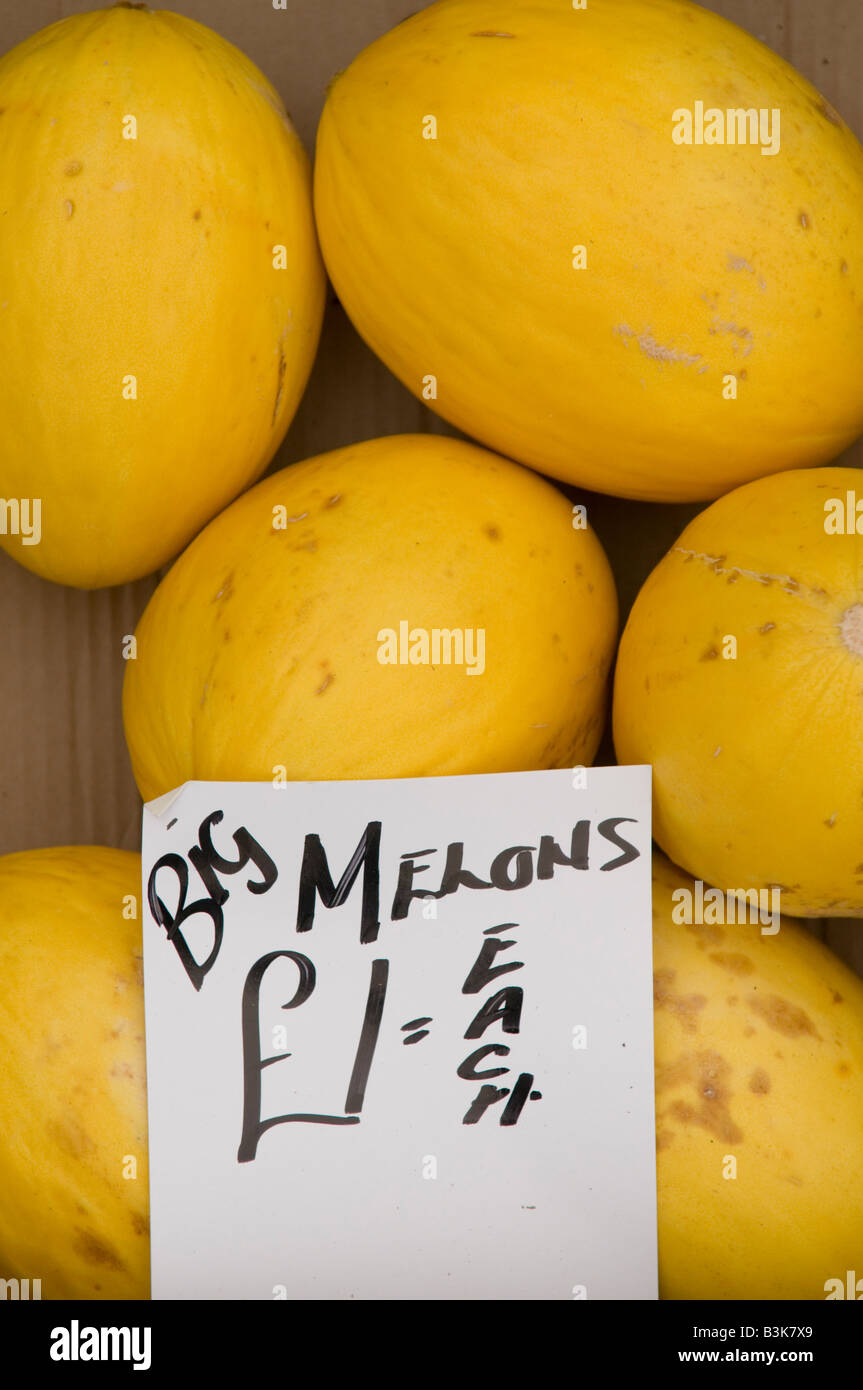 Avoir Images Fort De Big Yellow Gaia Melons Big Mellons Double Sens Grivois le plus cool par