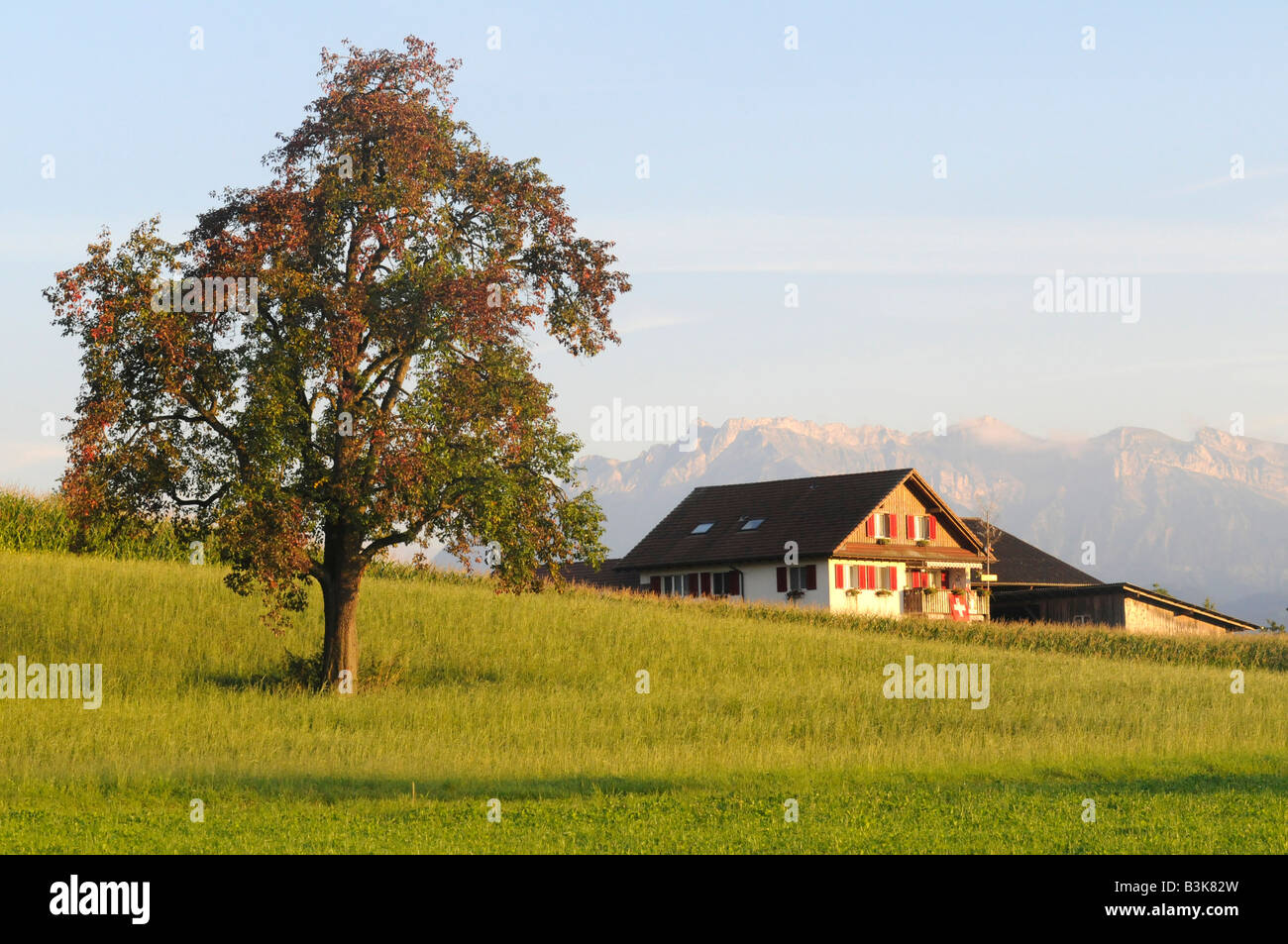 Une maison suisse typique dans un cadre rural, avec arbres, montagnes, et drapeau national ; photo prise en Suisse centrale Banque D'Images