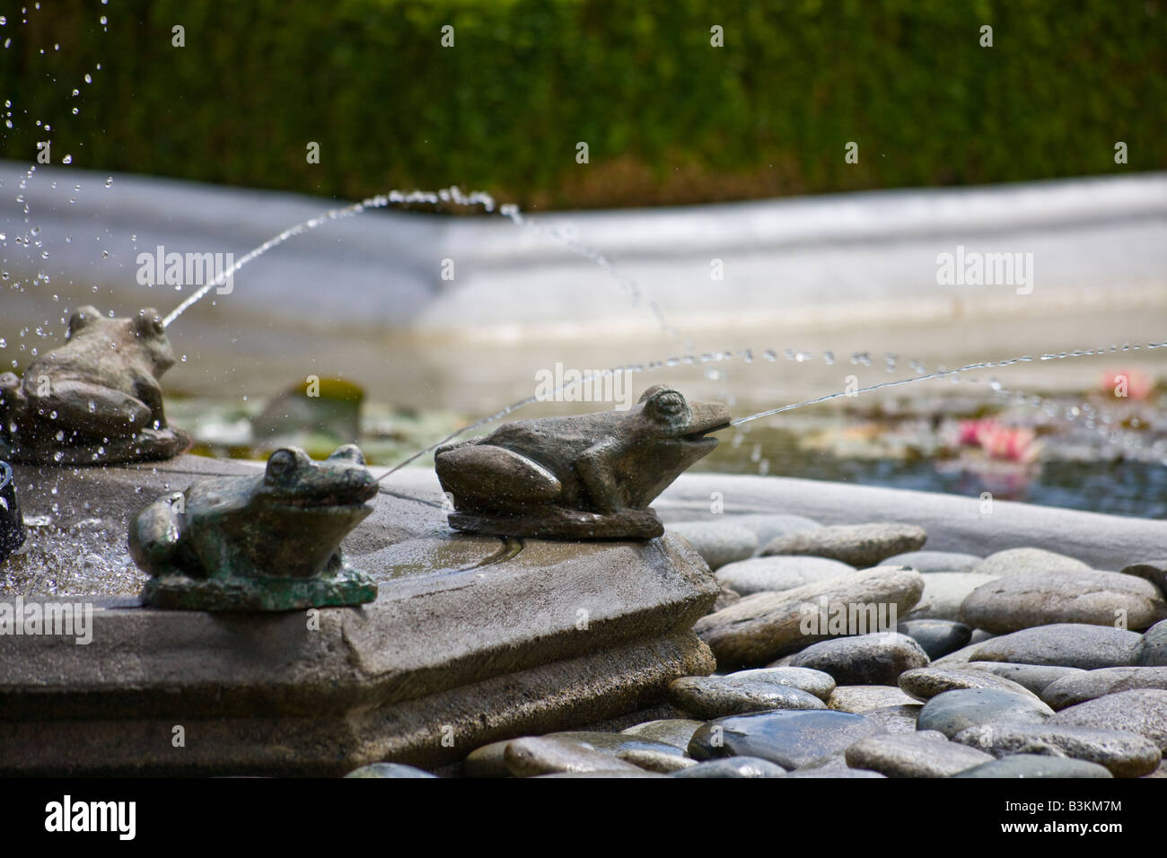 Fontaine grenouille, jardin italien, les jardins Butchart, Brentwood Bay, île de Vancouver, Colombie-Britannique, Canada Banque D'Images