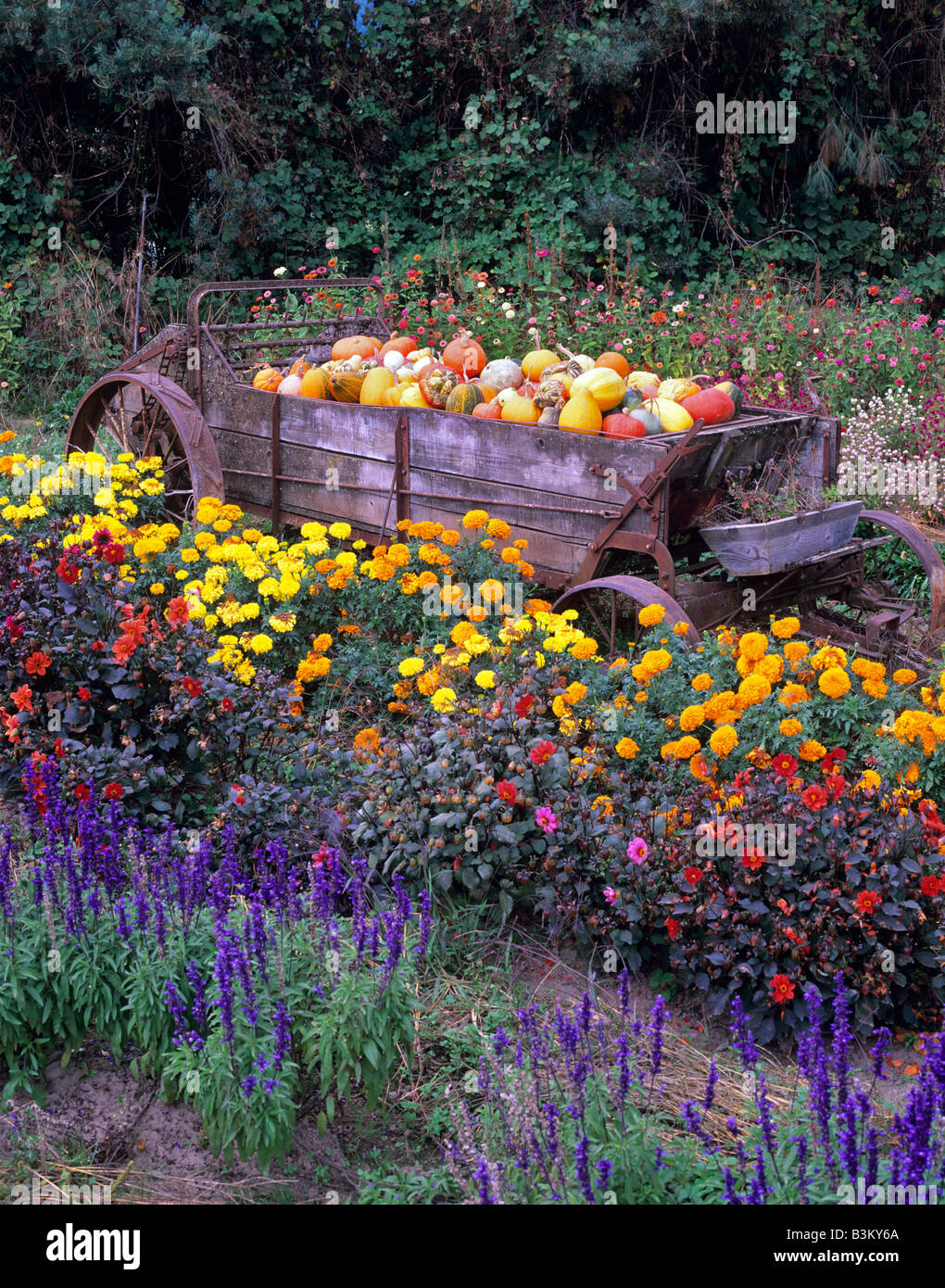 Gords en wagon dans jardin fleuri de Herricks jardin près de Springfield Oregon Banque D'Images