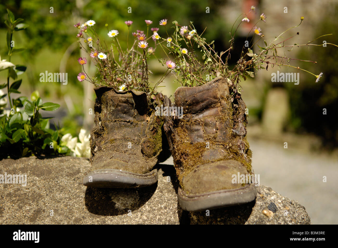 Vieilles bottes utilisés comme pots de fleurs UK Banque D'Images
