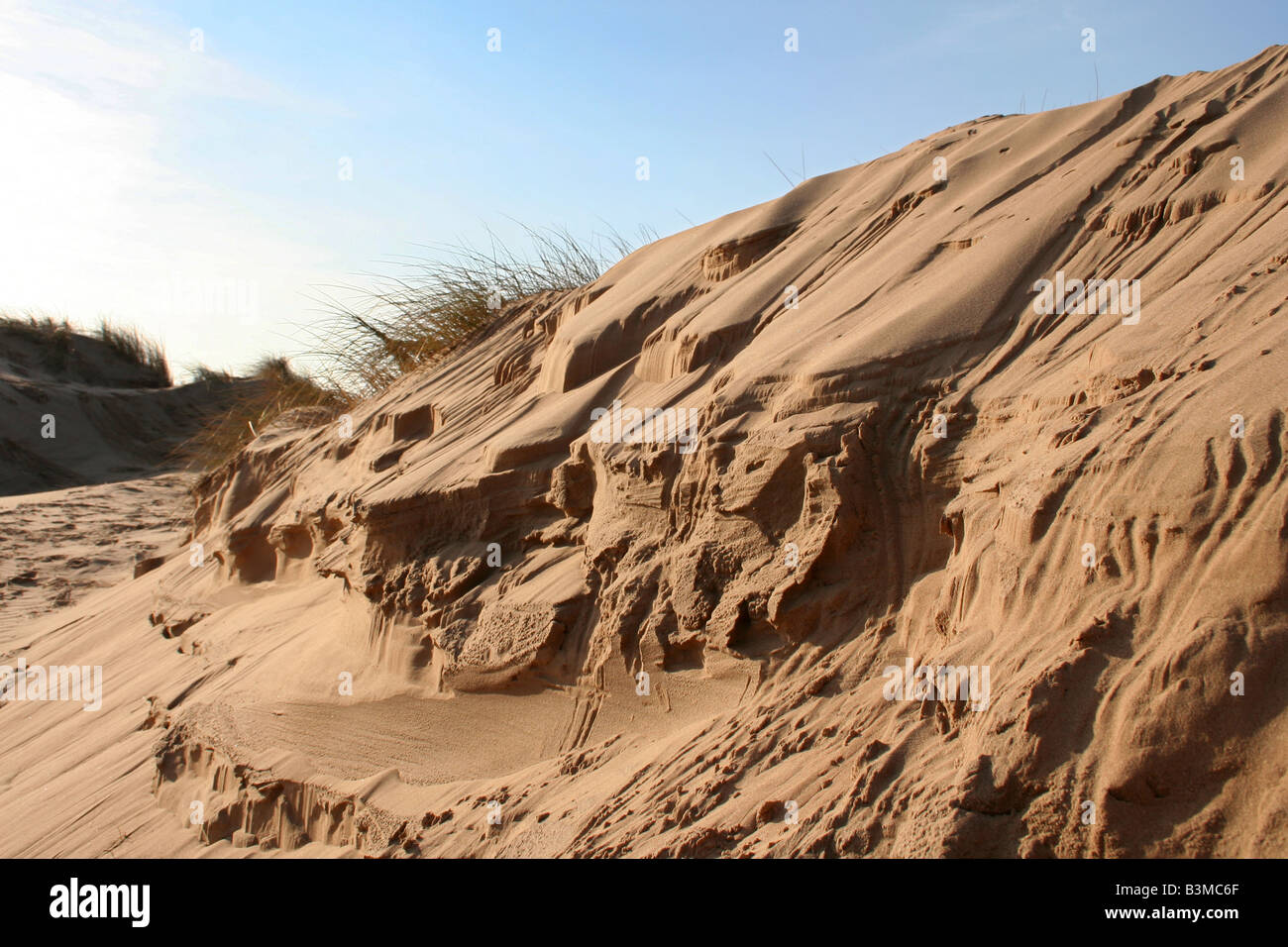 Dunes de sable sculptées par le vent Banque D'Images