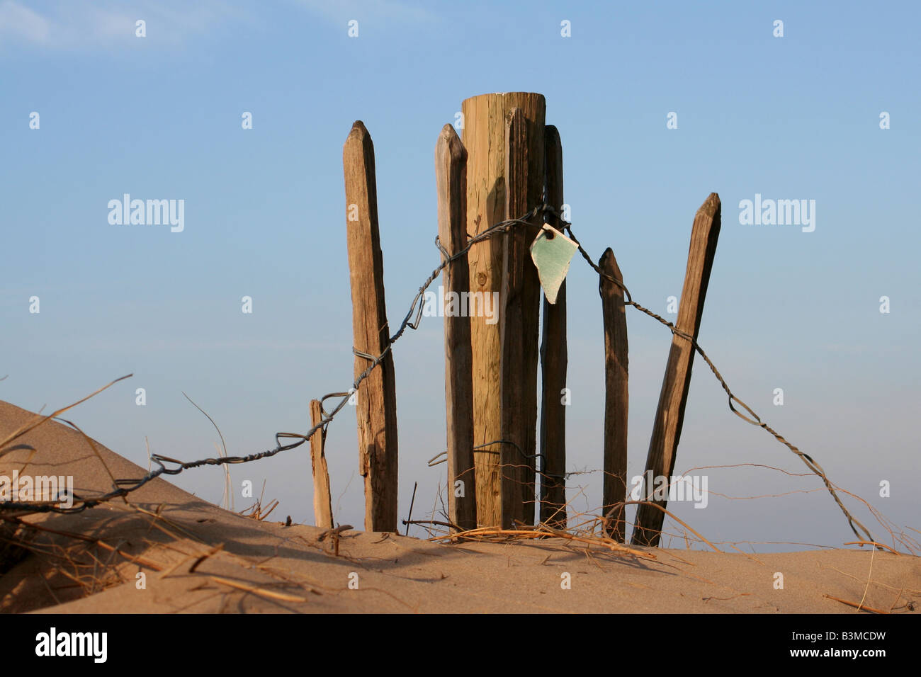 Guide sur la plage Banque D'Images