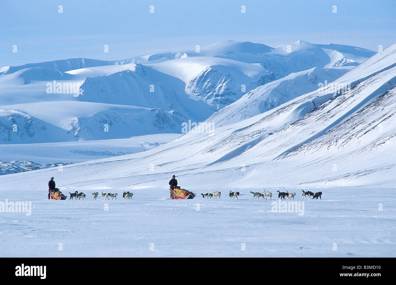 Husky.Deux équipes tirent des traîneaux.Svalbard, Norvège Banque D'Images