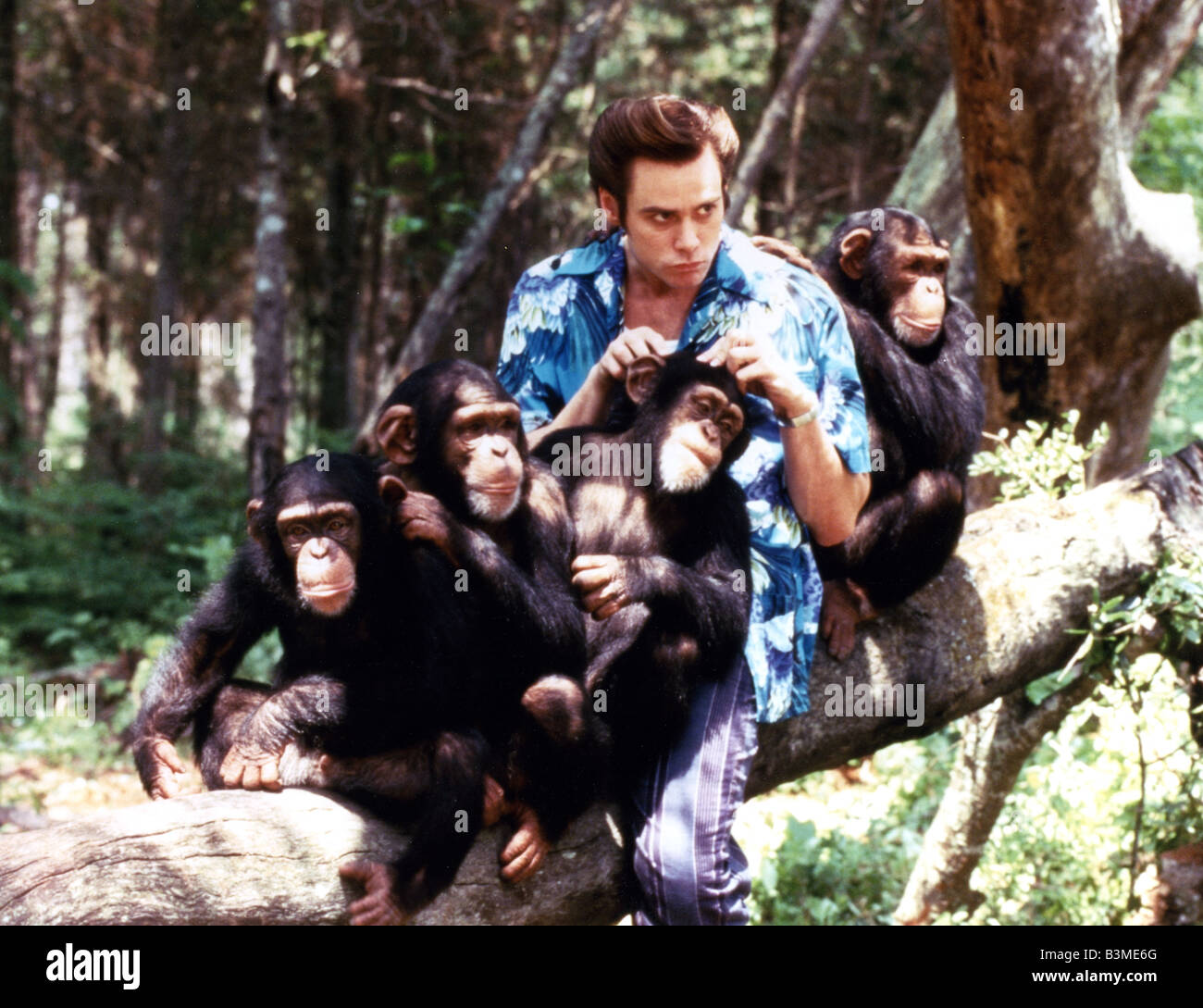 ACE VENTURA : QUAND LA NATURE APPELLE 1995 Warner/Morgan Creek film avec Jim Carrey Banque D'Images