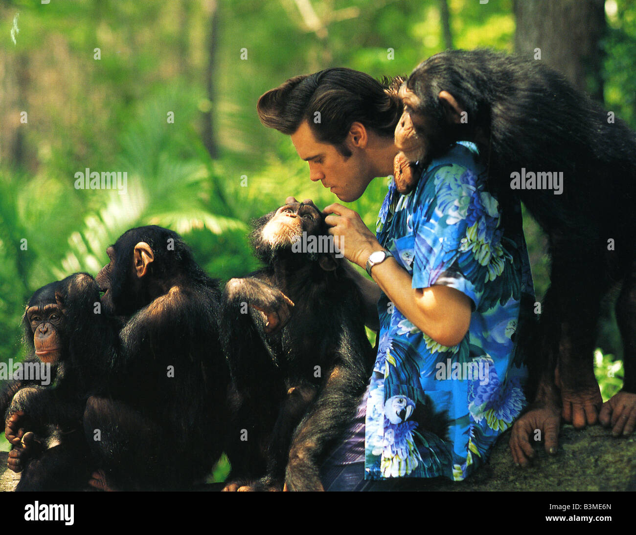 ACE VENTURA : QUAND LA NATURE APPELLE 1995 Warner/Morgan Creek film avec Jim Carrey Banque D'Images
