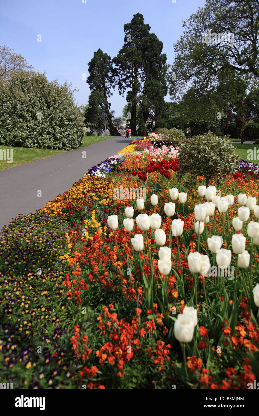 Lits de fleurs dans les jardins botaniques Dublin Banque D'Images