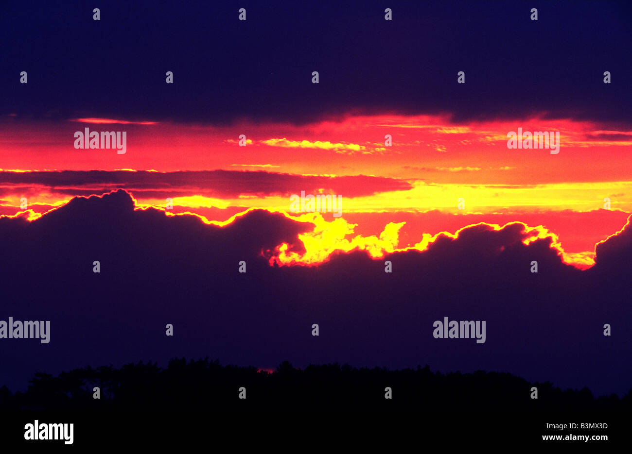 Nuages ciel coucher soleil rouge hiver arbres silhouette de prévisions météorologiques skyline bergers delight Banque D'Images