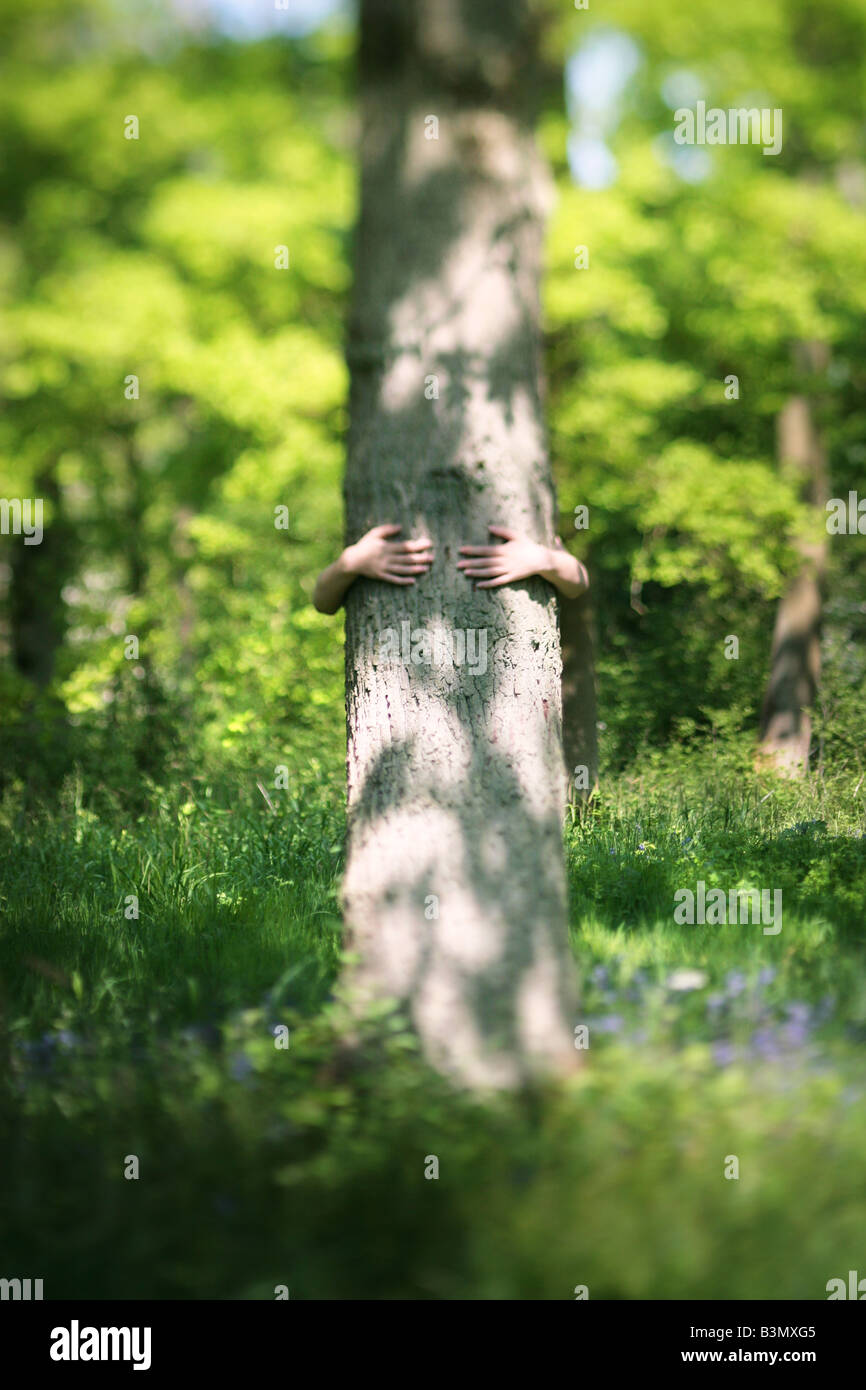 Les mains serrant un arbre Banque D'Images