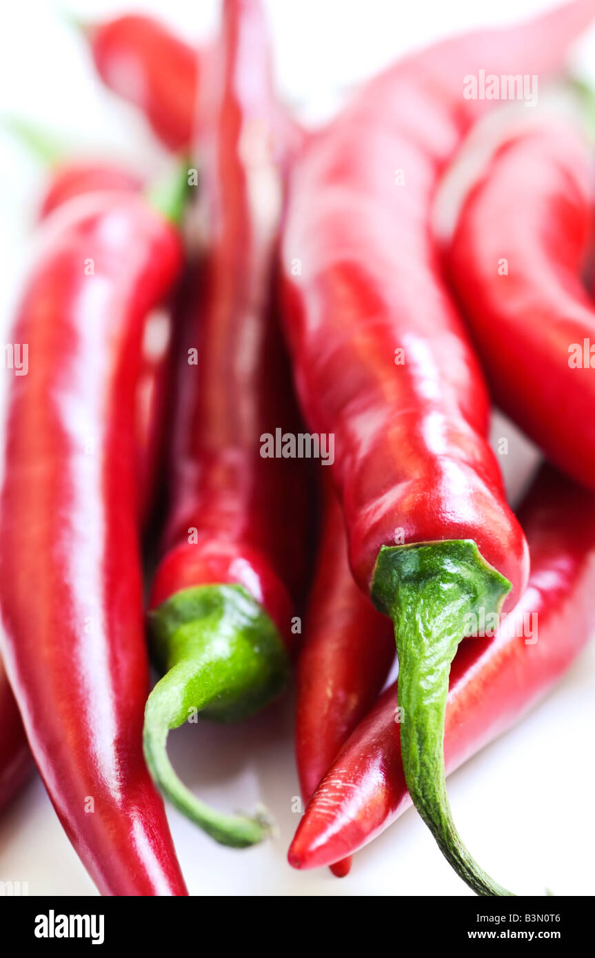 Bunch of Red Hot Chili Peppers sur fond blanc close up Banque D'Images