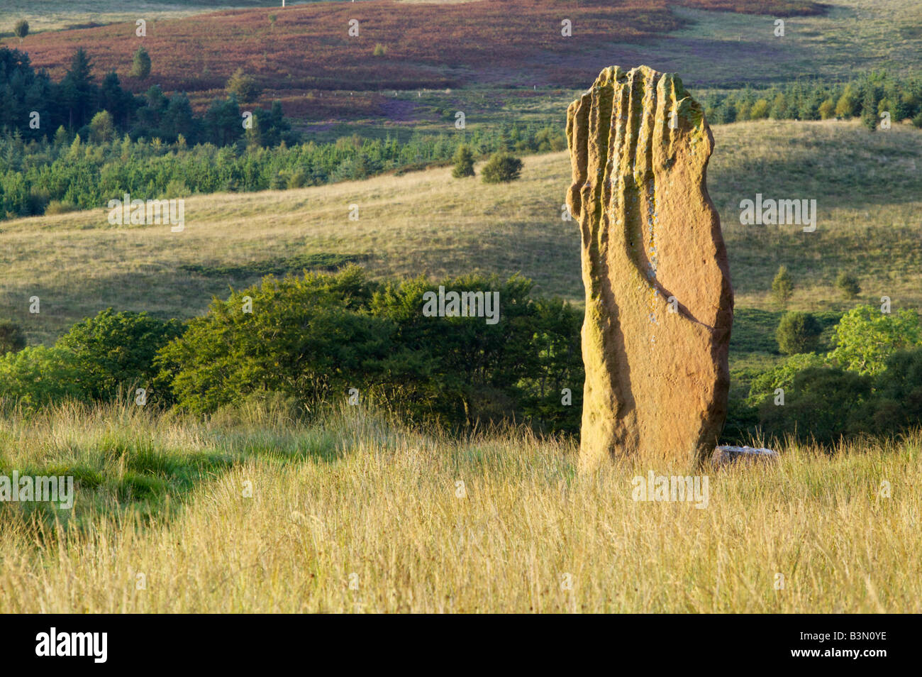 La seule pierre d'un cercle de pierre l'âge de bronze sur Machrie Moor, Isle of Arran, North Ayrshire, Ecosse, Royaume-Uni. Banque D'Images