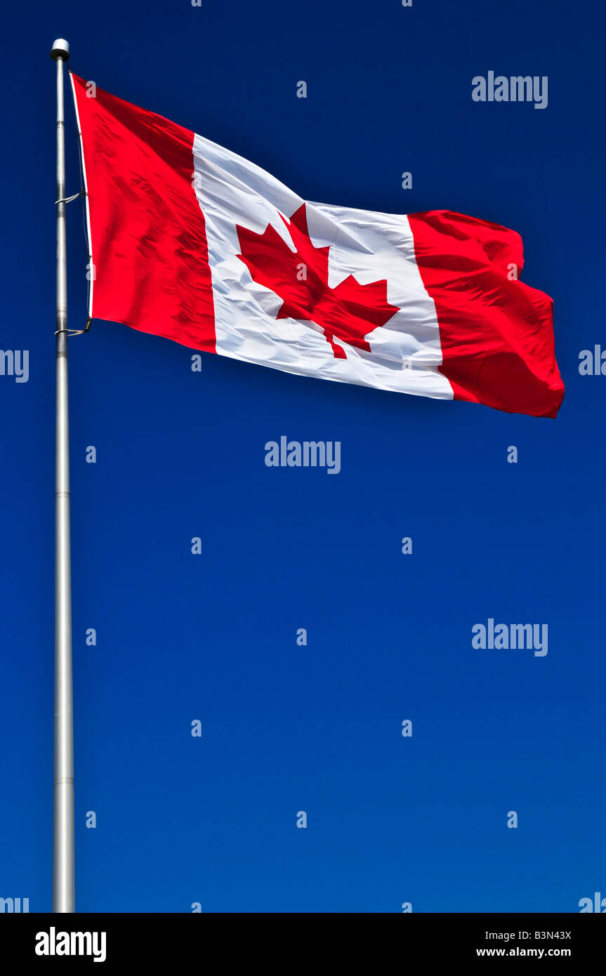 Brandissant le drapeau du Canada dans le vent sur fond de ciel bleu Banque D'Images