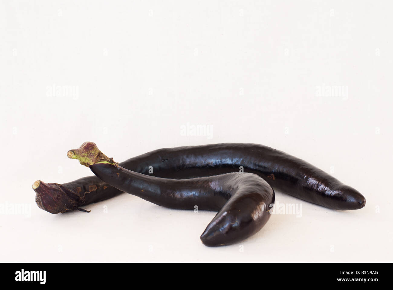 Deux japonais biologique onaga nasu ou très longues aubergines sur fond blanc ces sont largement utilisées dans l'été et l'automne japonais Banque D'Images