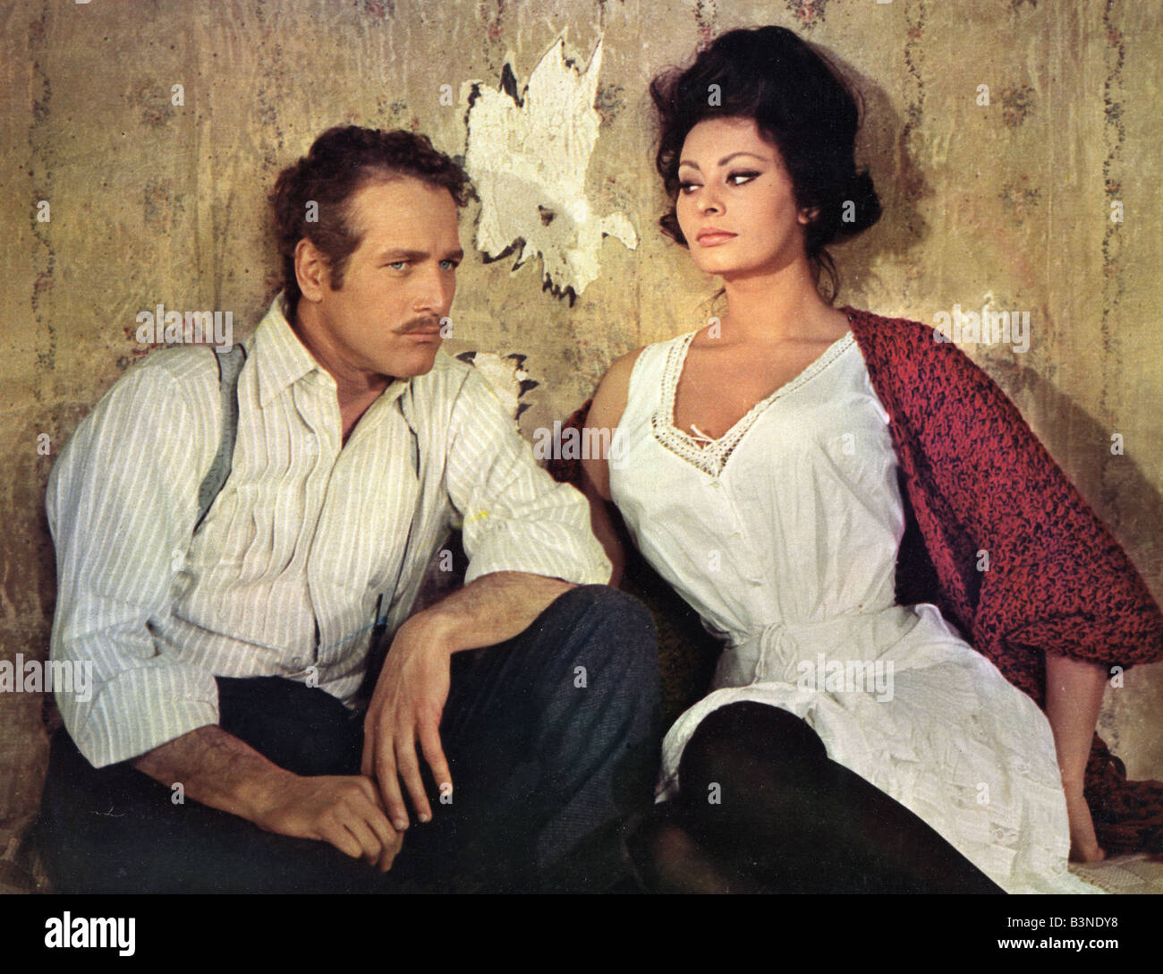 LADY L 1965 MGM/Concordia film avec Paul Newman et Sophia Loren Banque D'Images