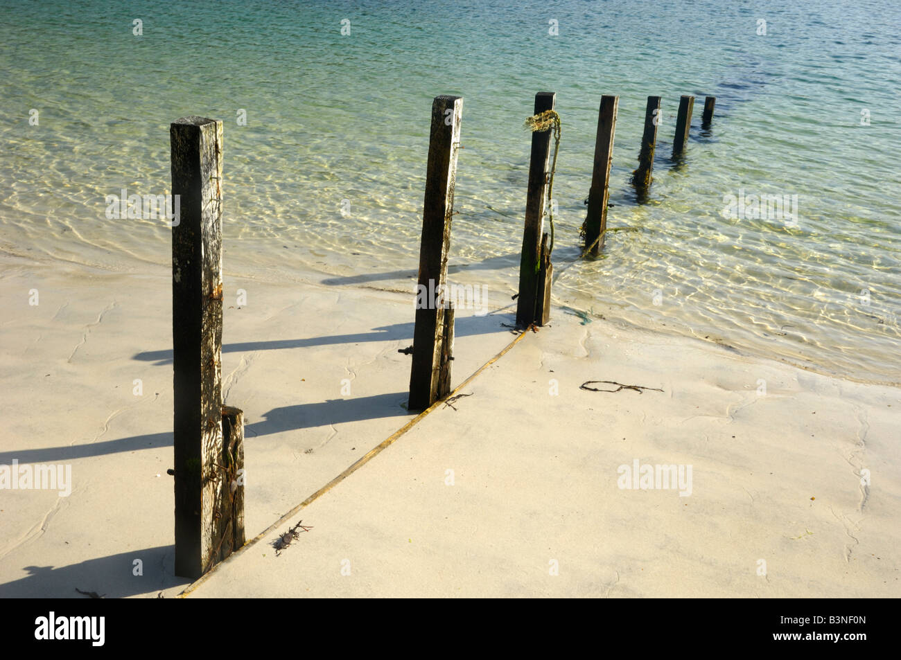 Piquets en bois dans une plage de sable, vestiges d'un ancien aine / épi, Morar, Highlands, Scotland Banque D'Images