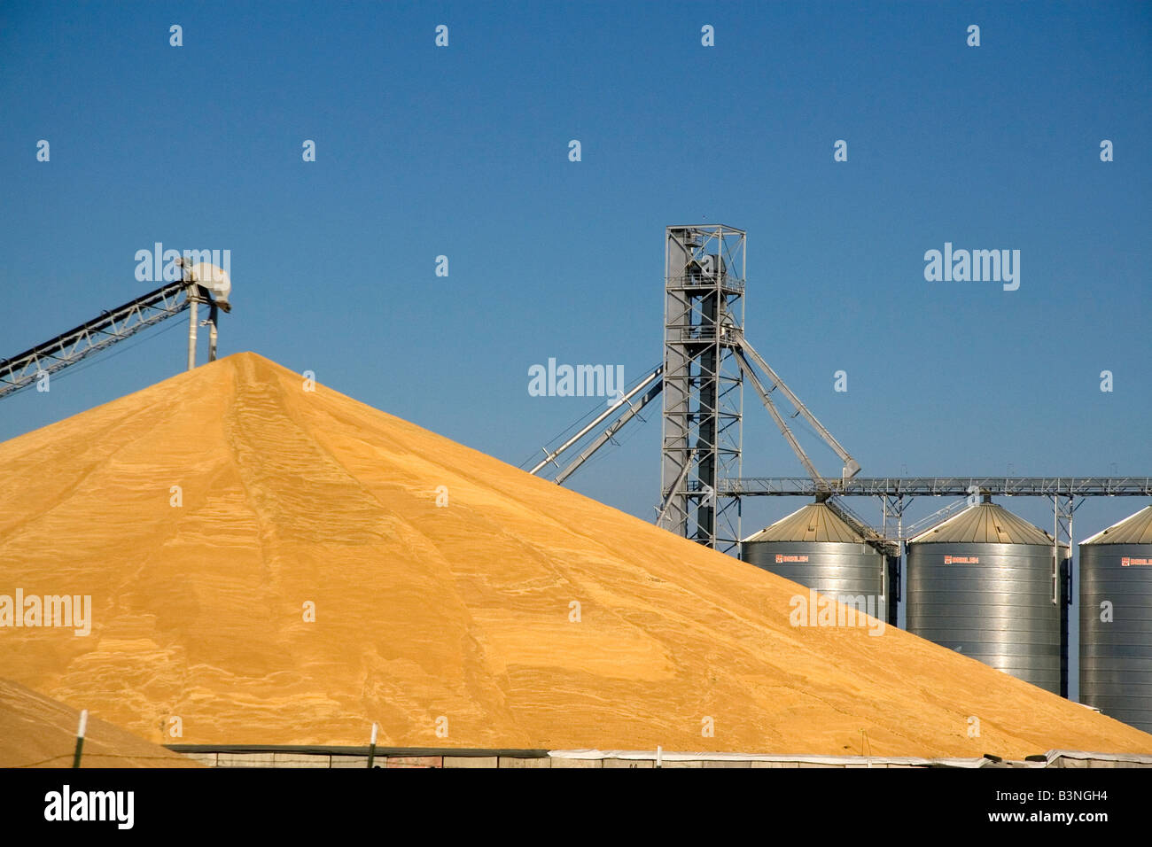 Gros tas de blé récoltés et d'élévateurs à grains à Washington Pasco Banque D'Images