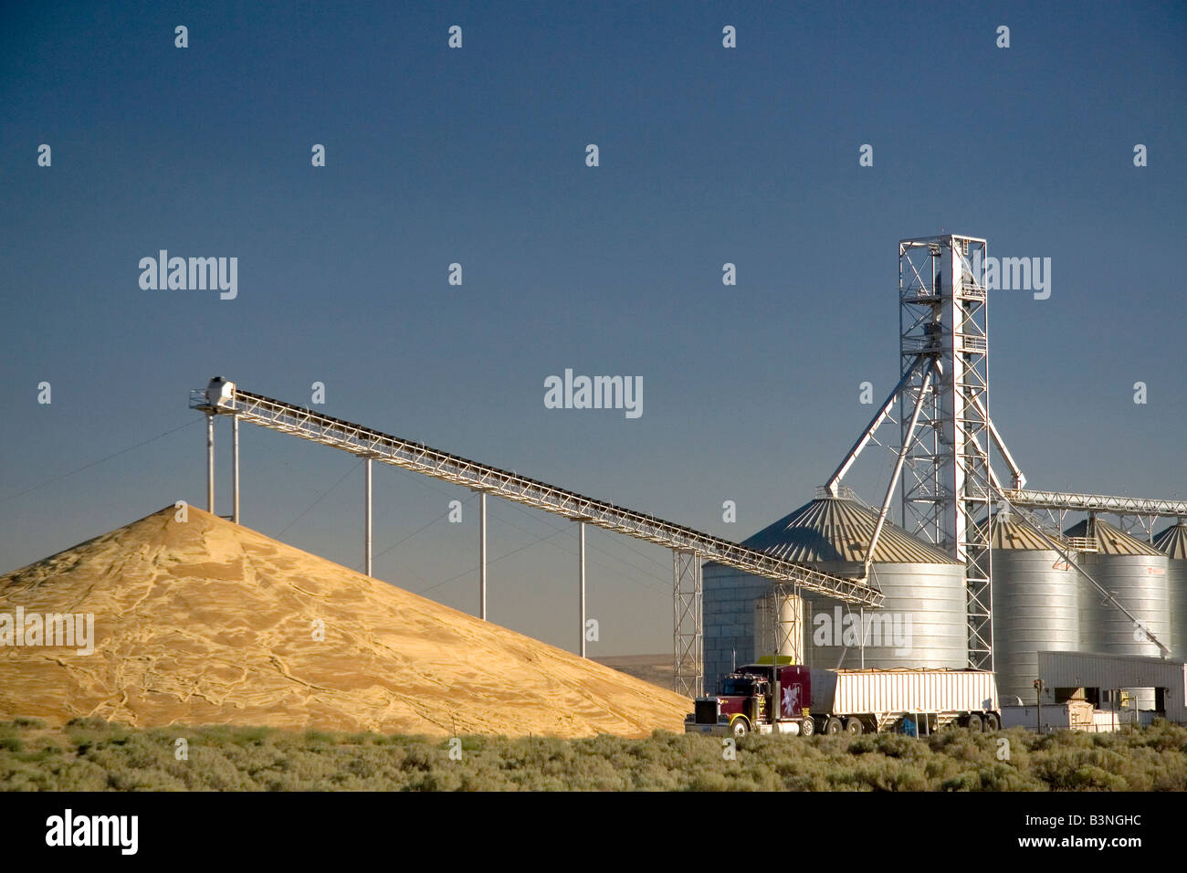 Gros tas de blé récoltés et d'élévateurs à grains à Washington Pasco Banque D'Images