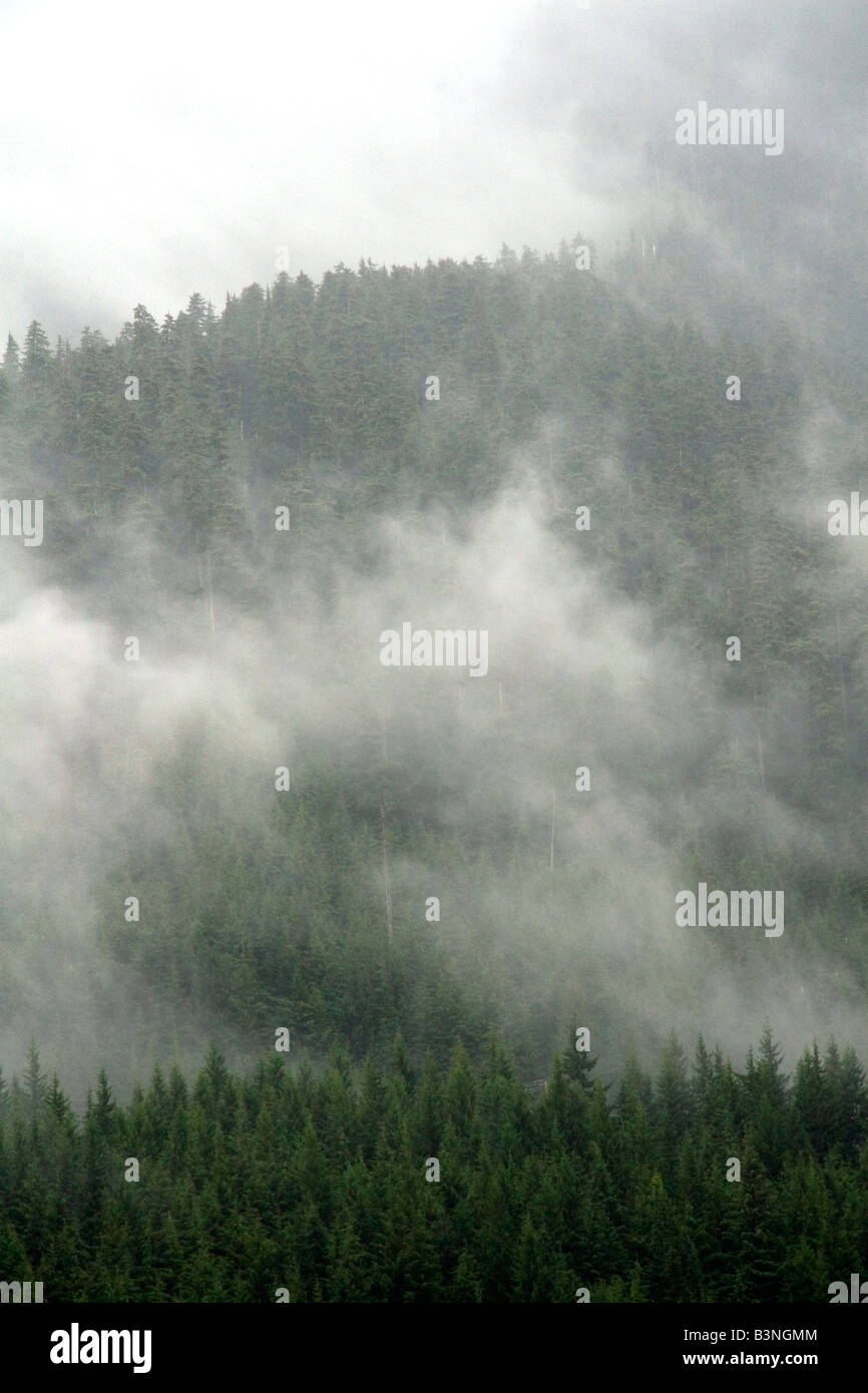 Le brouillard et la brume couvrir la chaîne des Cascades près de Snoqualmie Pass à Washington Banque D'Images