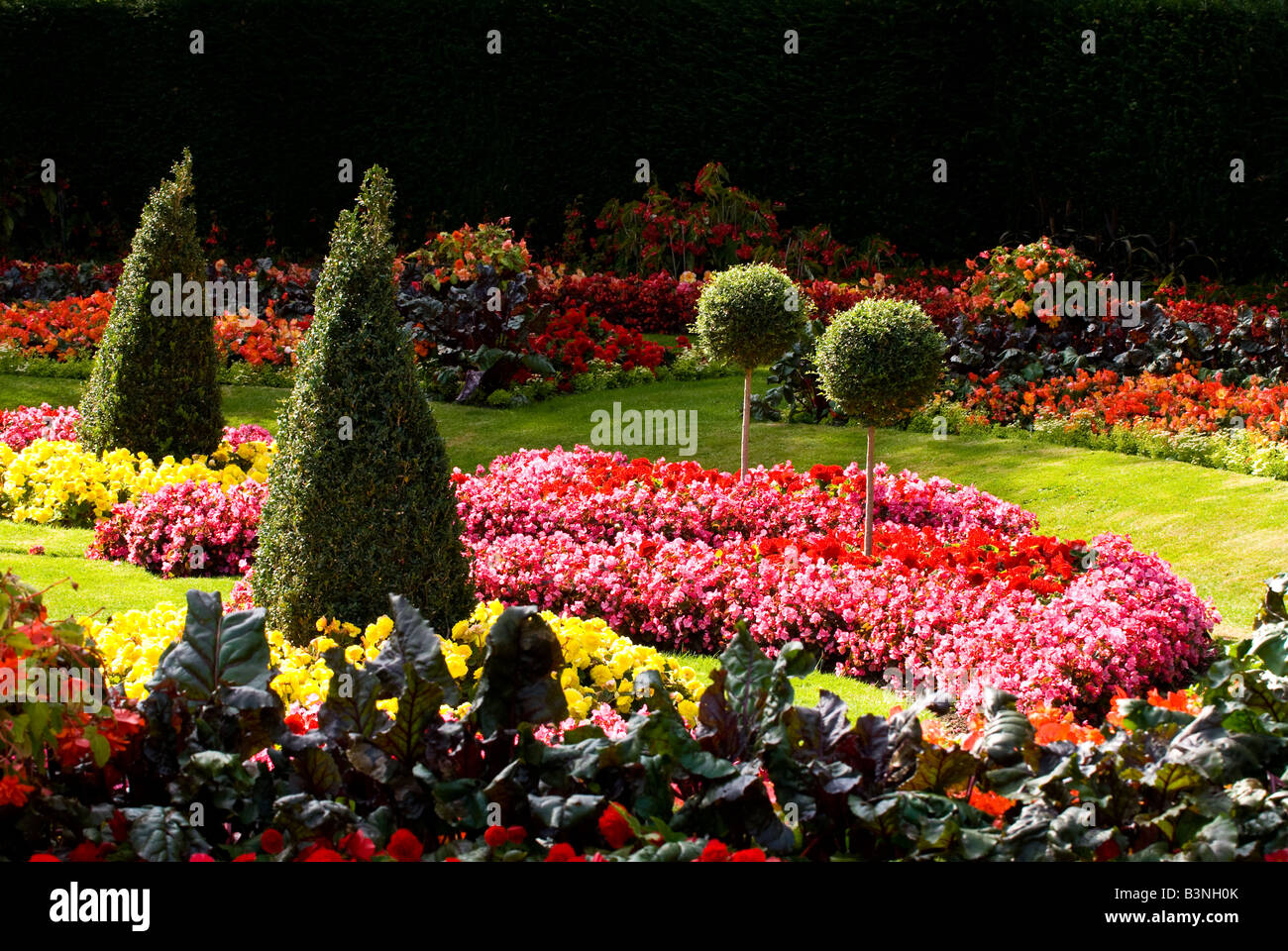 Regent's Park , London , beau jardin floral spectaculaire des plantes ornementales , fleurs , arbres et arbustes Banque D'Images