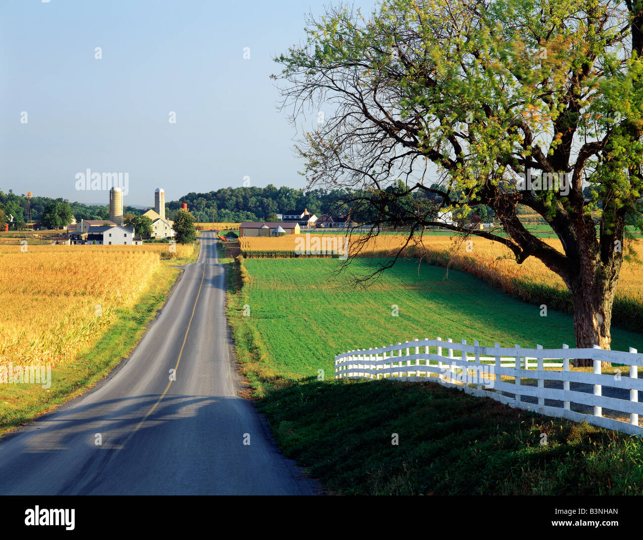 Chemin rural par le biais d'un Amish farm, la plus productive des terres agricoles non irriguées aux ETATS UNIS Banque D'Images