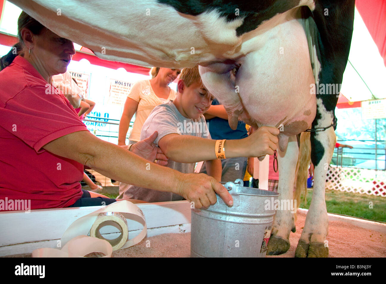 Garçon traire une vache Holstein à l'ouest de l'Idaho à Boise IDAHO juste Banque D'Images