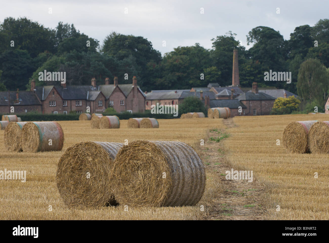 Tatton Park Farm une toile à la récolte des cultures sur l'immobilier à Knutsford Tatton, Cheshire Banque D'Images