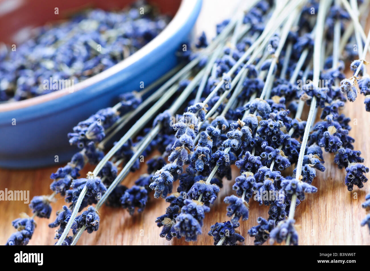 Bouquet de lavande séchées herb et des fleurs de lavande dans un bol Banque D'Images