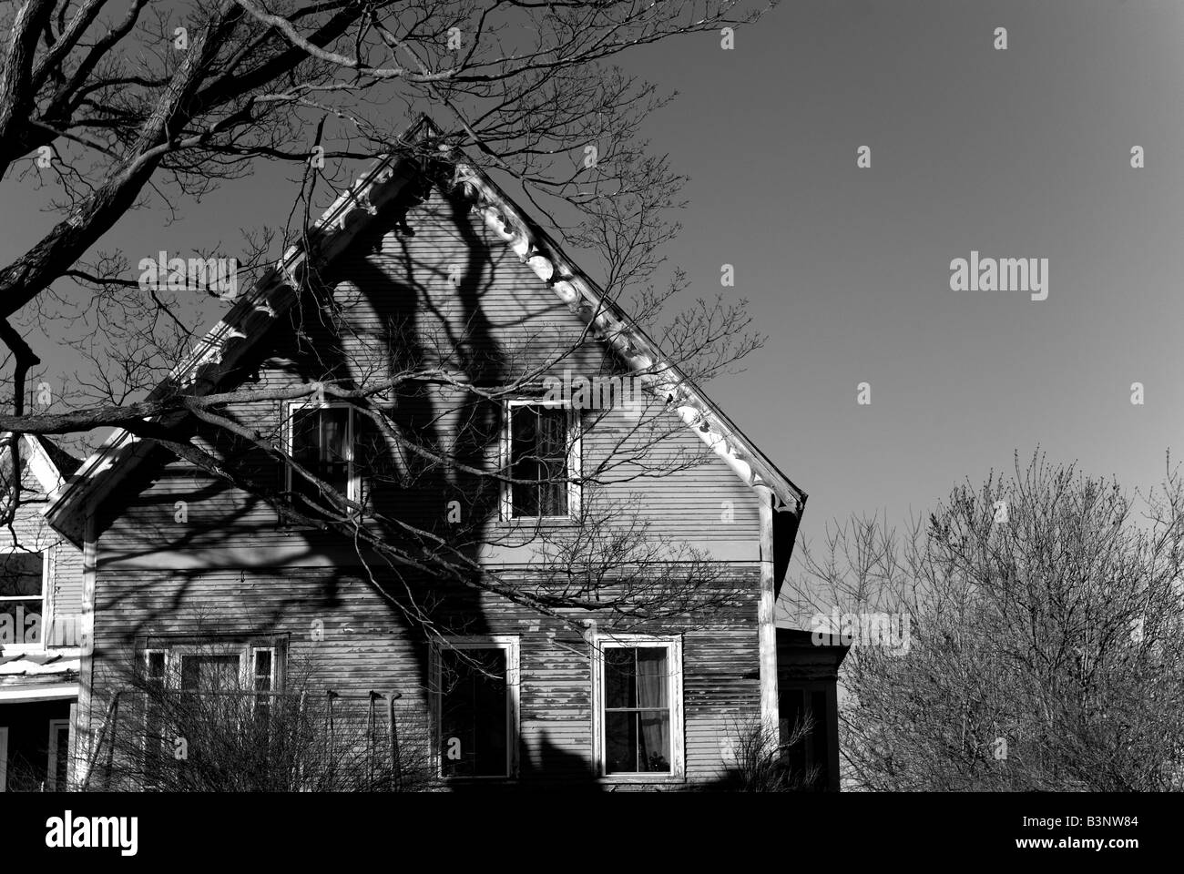 Image Halloween avec comme ombre de l'ensemble arbre maison modifié pour le noir et blanc pour gloom et concept de menace Banque D'Images