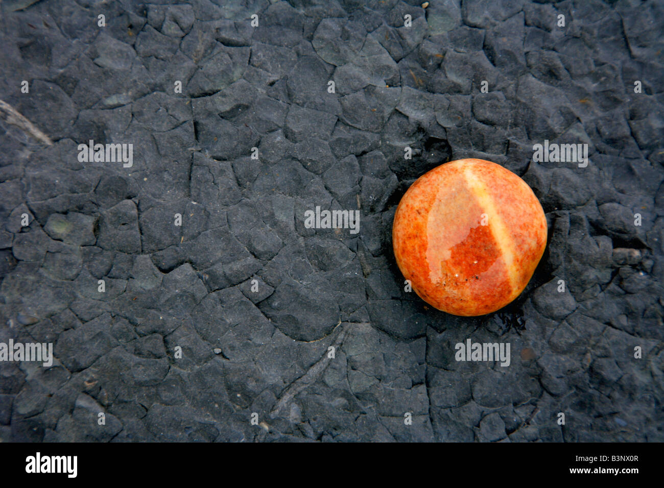 Sur la plage de galets Robin Hoods Bay North Yorkshire Moors England UK Banque D'Images