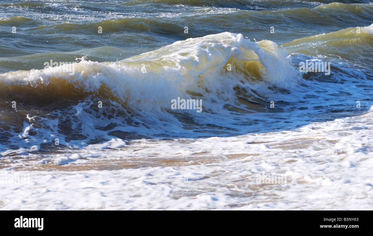 Grande vague de surf mer littoral sur pause Banque D'Images