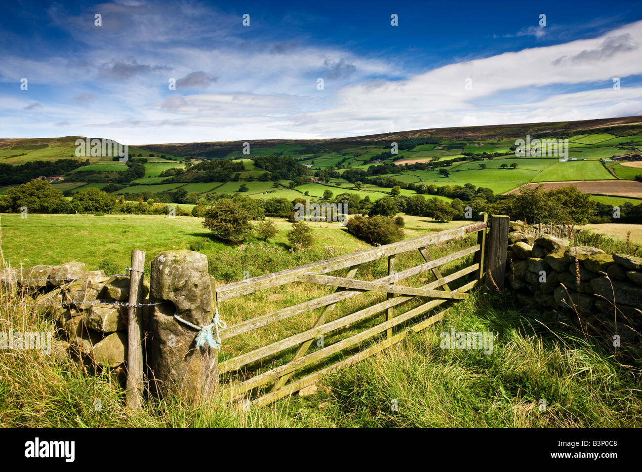 Farndale North York Moors National Park Banque D'Images