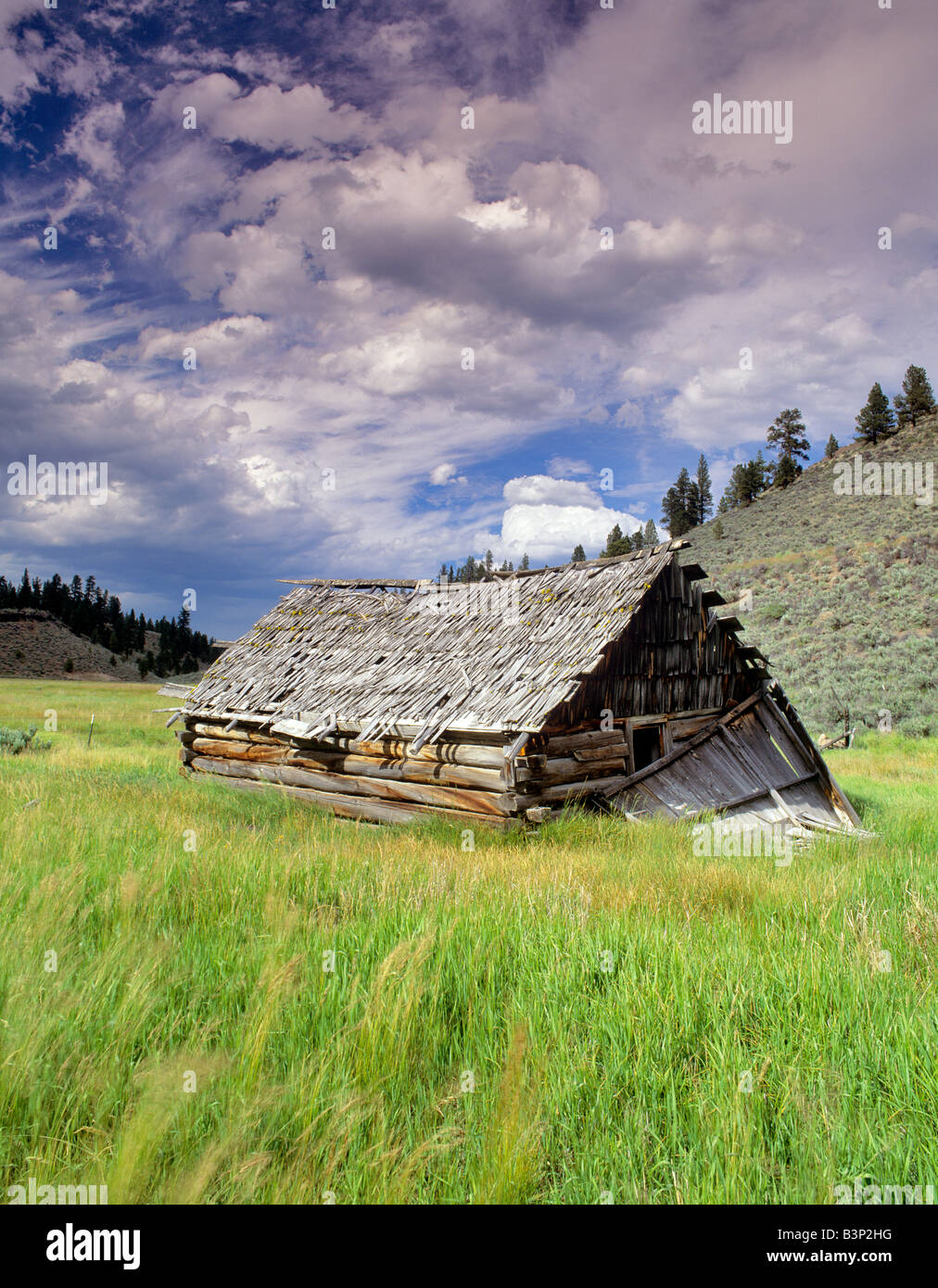 Pioneer abandonnés cabane près de Burns l'Oregon Banque D'Images