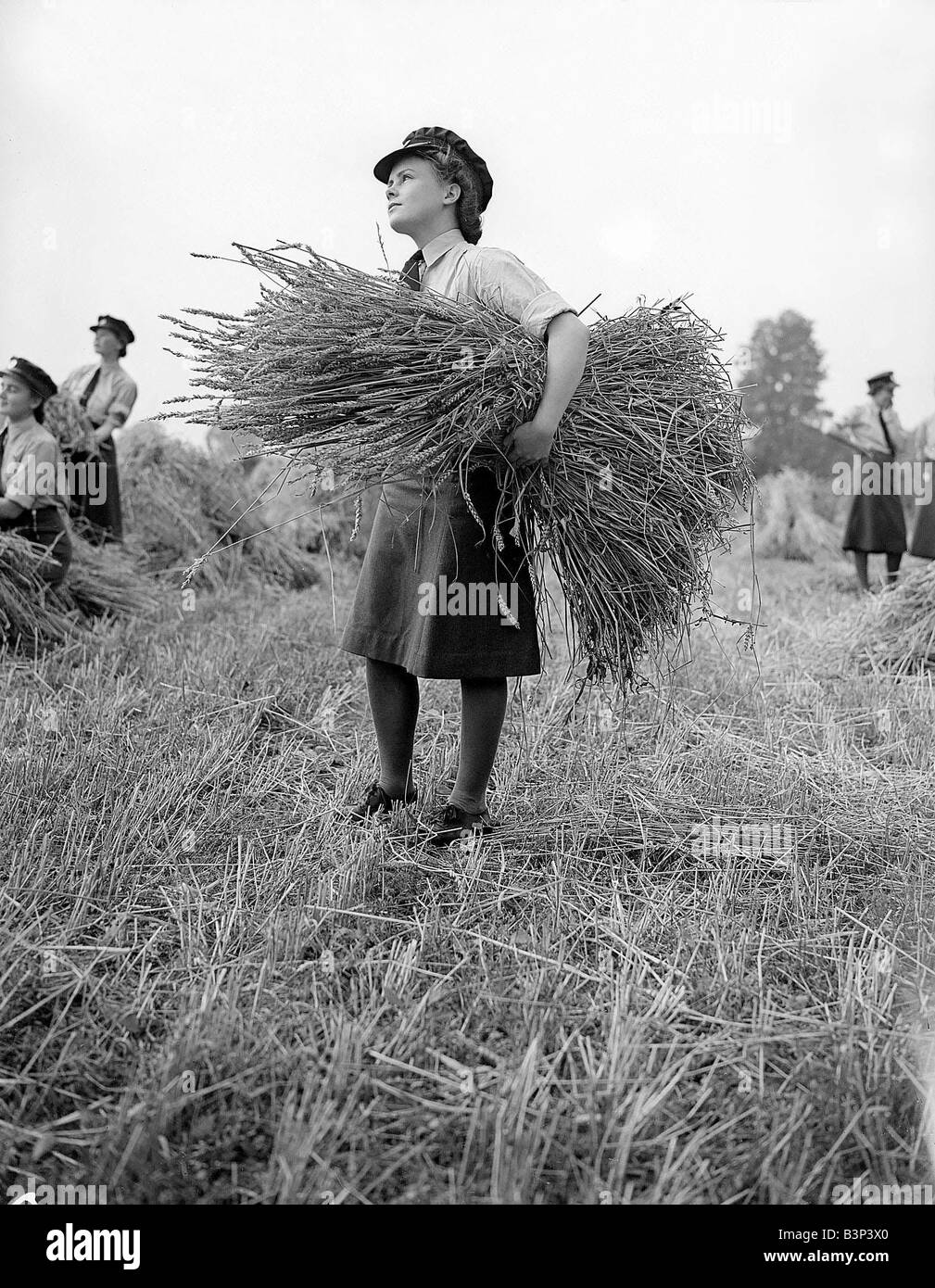 W A A F s la récolte PENDANT LA SECONDE GUERRE MONDIALE Septembre 1941 femmes chargées de mens emplois pendant la guerre Banque D'Images