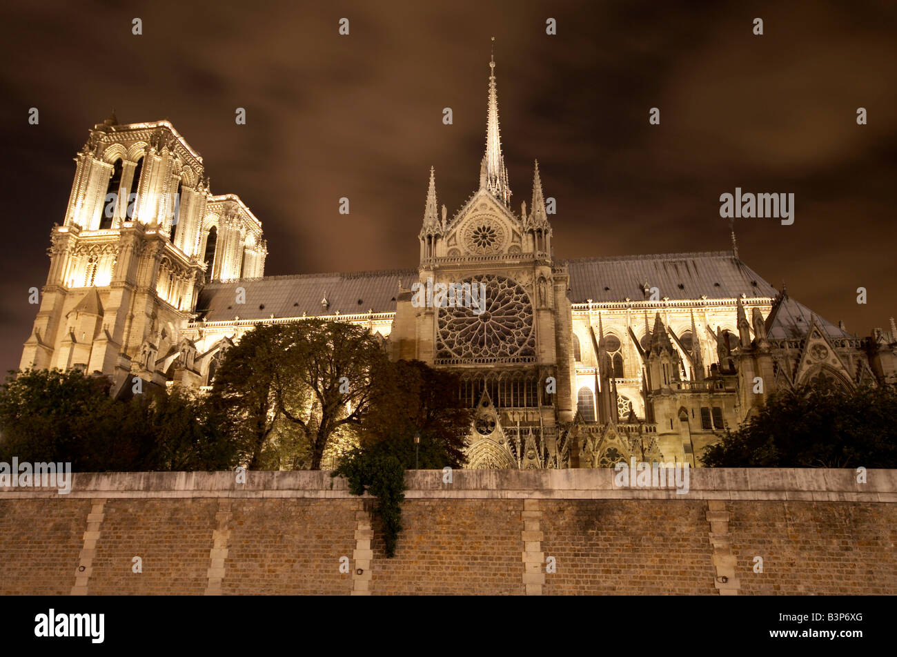 La cathédrale Notre dame de nuit sur l'Île de la Cité à Paris vu de la rive sud de la Seine Banque D'Images