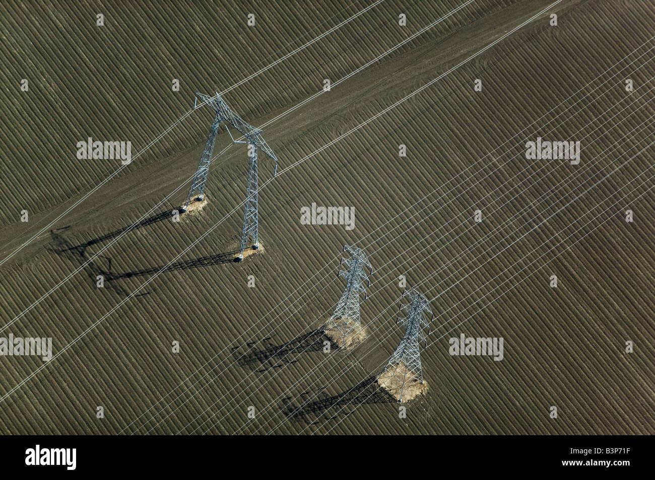 Les lignes électriques aériennes au-dessus de la vallée centrale de Californie Banque D'Images