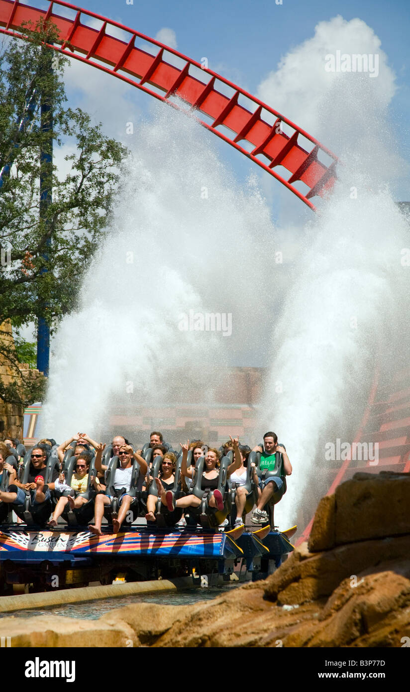 SheiKra roller coaster coups jusqu'spray, Busch Gardens, Tampa, Florida, USA Banque D'Images