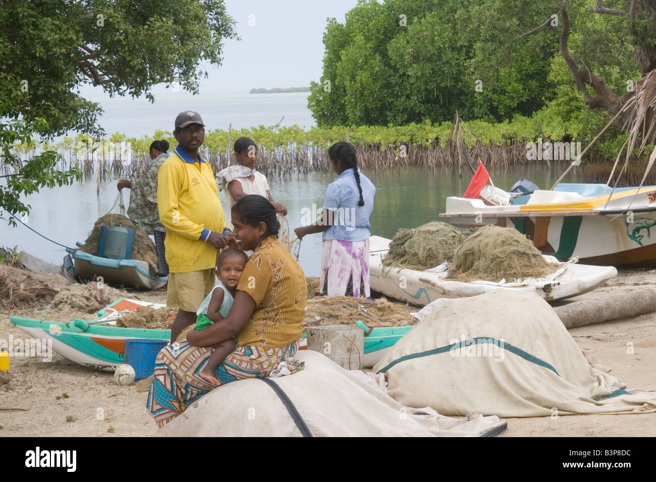 Conservation communautaire de Mangove un village de pêcheurs avec les mangroves replantés de scène à lagune Puttalam, Sri Lanka. Banque D'Images