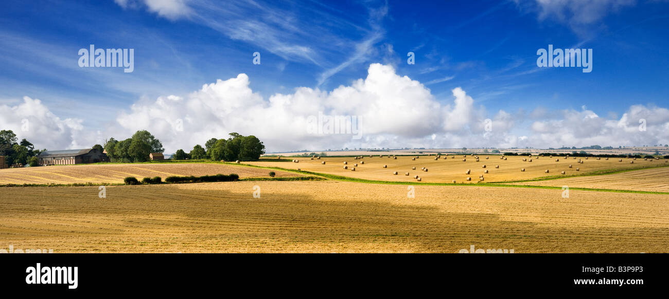 De belles terres agricoles vallonnées collines de la Lincolnshire Wolds, England, UK Banque D'Images