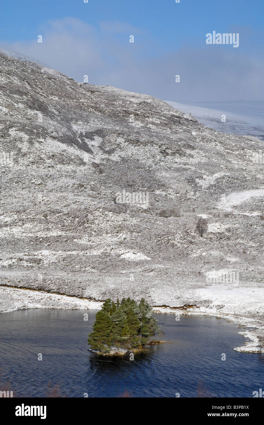 Loch Gynack et highlands en hiver, de Creag Bheag, près de Kingussie, Highlands, Scotland Banque D'Images