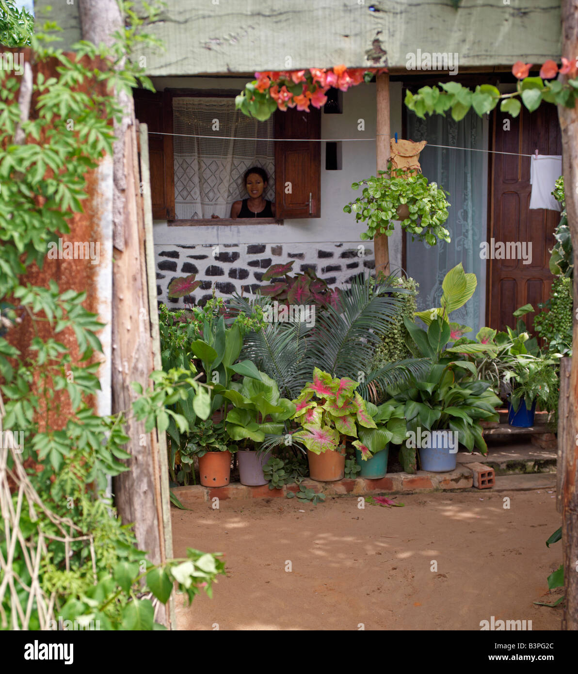 Le nord de Madagascar, une femme malgache admire son jardin depuis la fenêtre de sa maison à Ramena, un village de pêcheurs à une courte distance de Antsiranana, plus communément connu sous le nom de Diego. Banque D'Images
