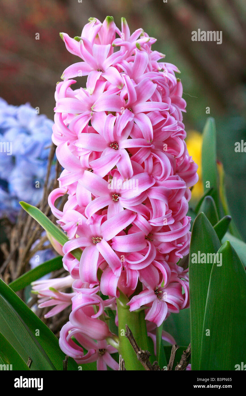 Marie Anne Banque D Image Et Photos Page 2 Alamy