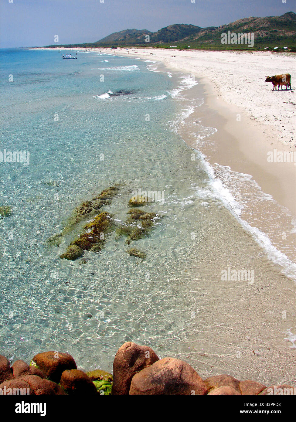 La plage de Berchida, Siniscola, Sardaigne, Italie Banque D'Images