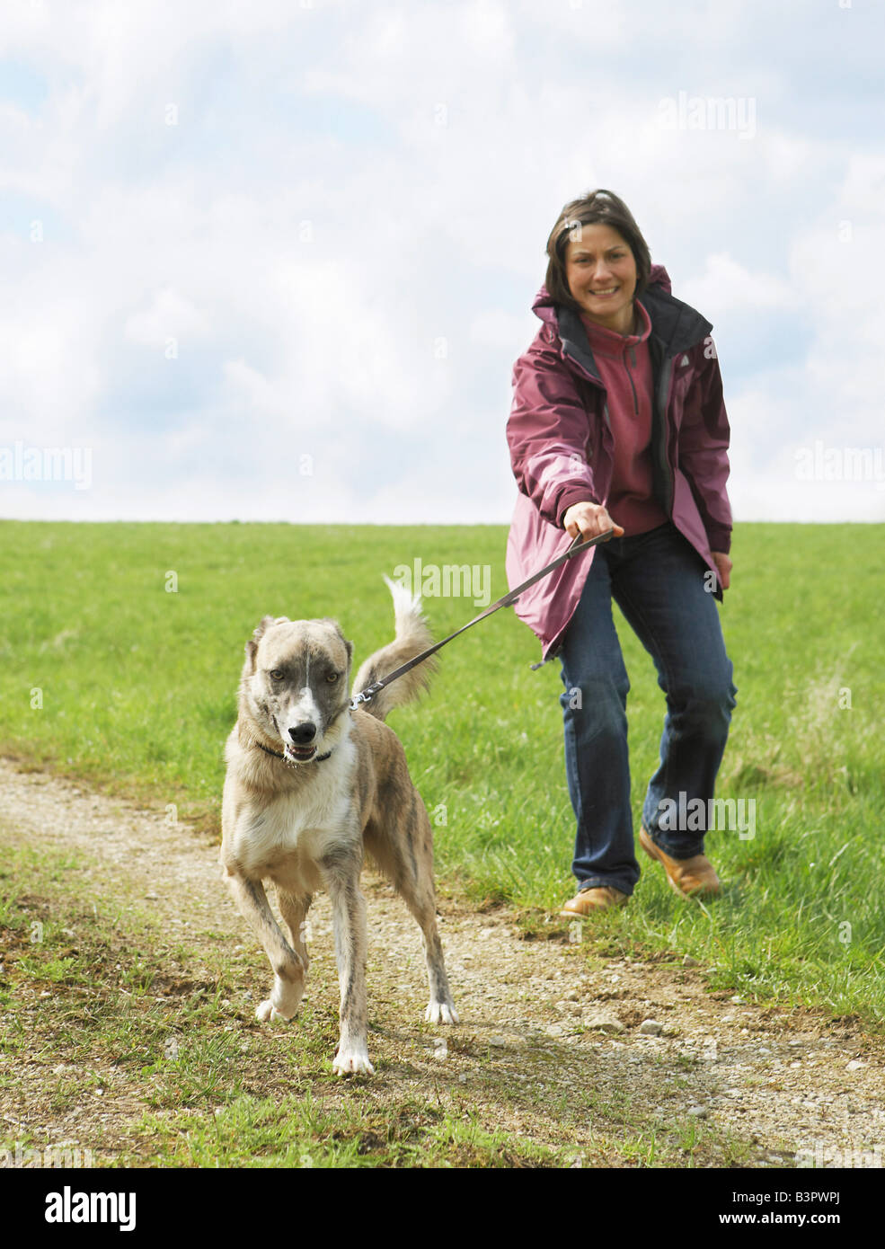 Femme avec half breed dog / Banque D'Images