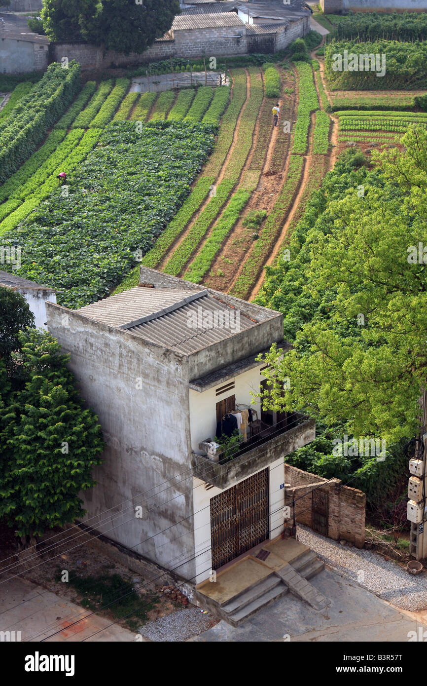 La maison d'un villageois et champ à Lang Son, Vietnam Banque D'Images