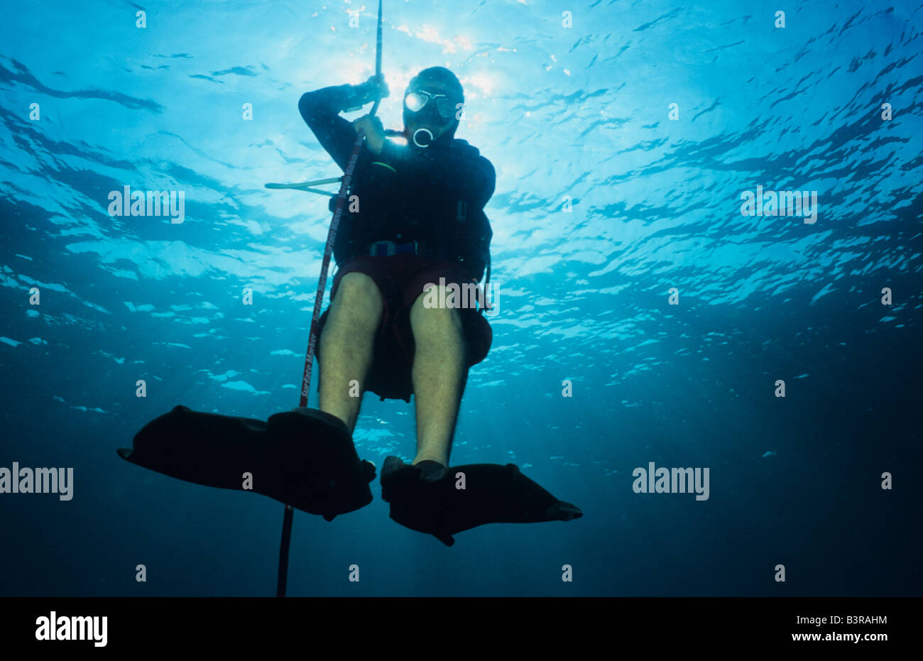 Guide de plongée, l'exercice de la butée de sécurité ci-dessous sa bouée de surface. Surin. La Thaïlande. Banque D'Images