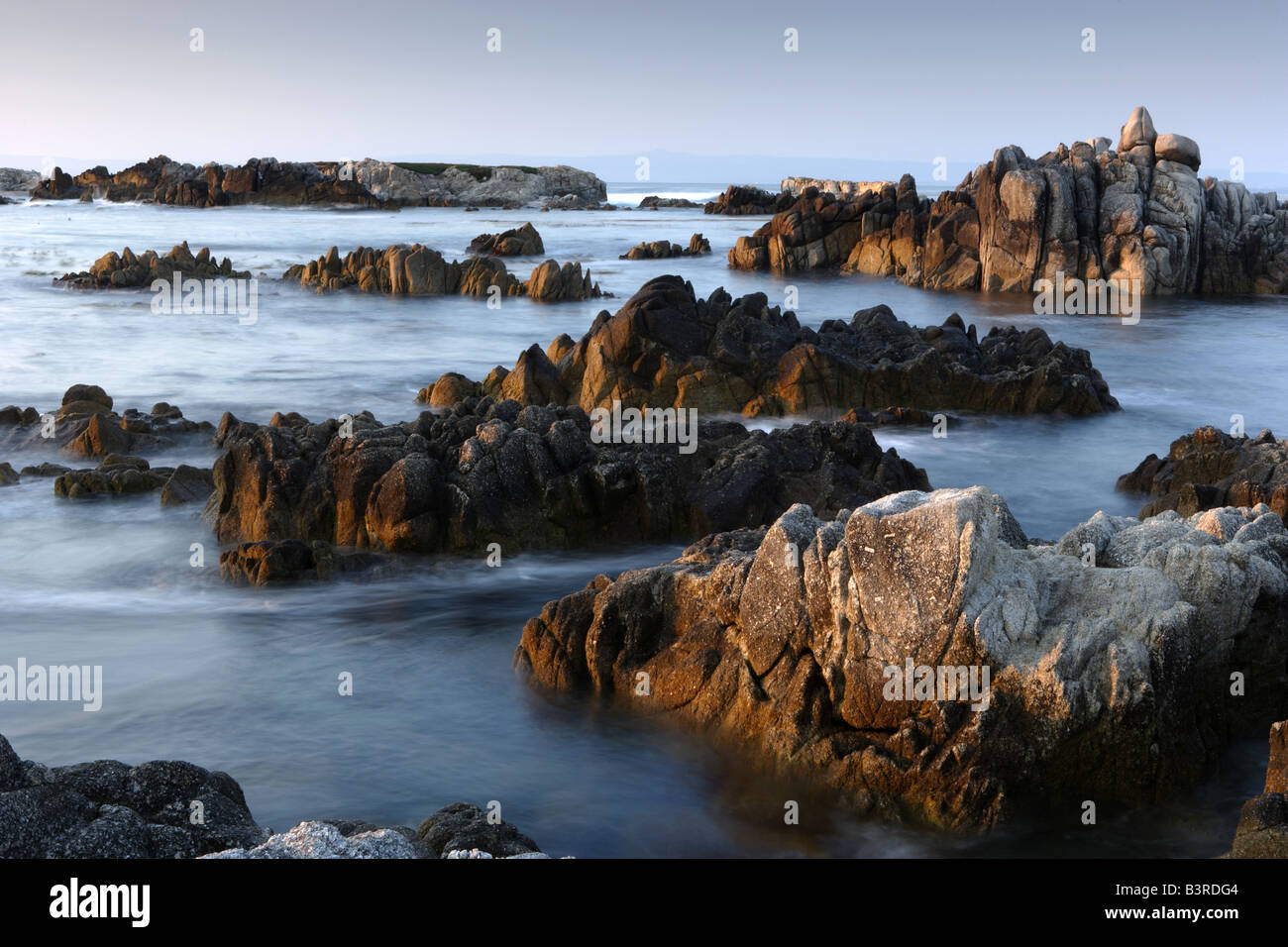 L'état d'Asilomar Beach Californie Monterey Banque D'Images